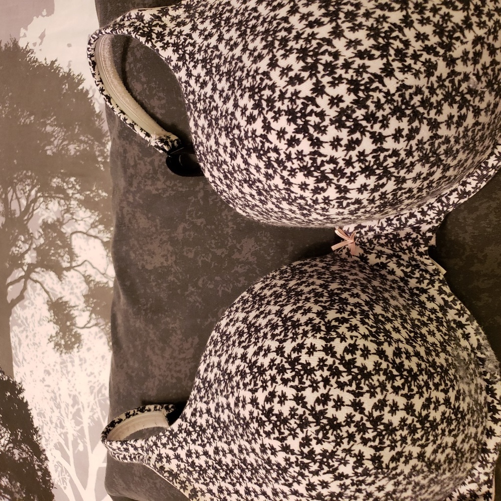 Cacique gently used wired bra